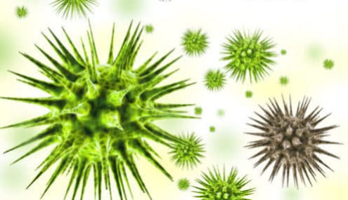 Wirus HPV – brodawczak ludzki