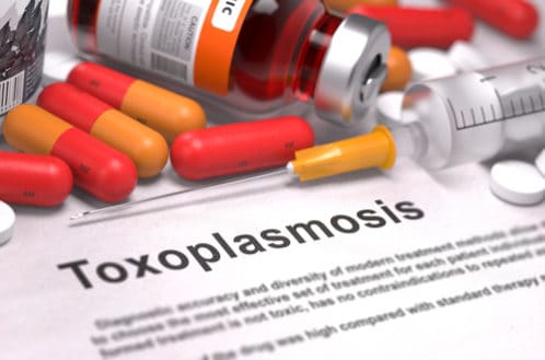 Toksoplazmoza – zagrożenie dla ciąży
